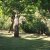 campingyuste (9)